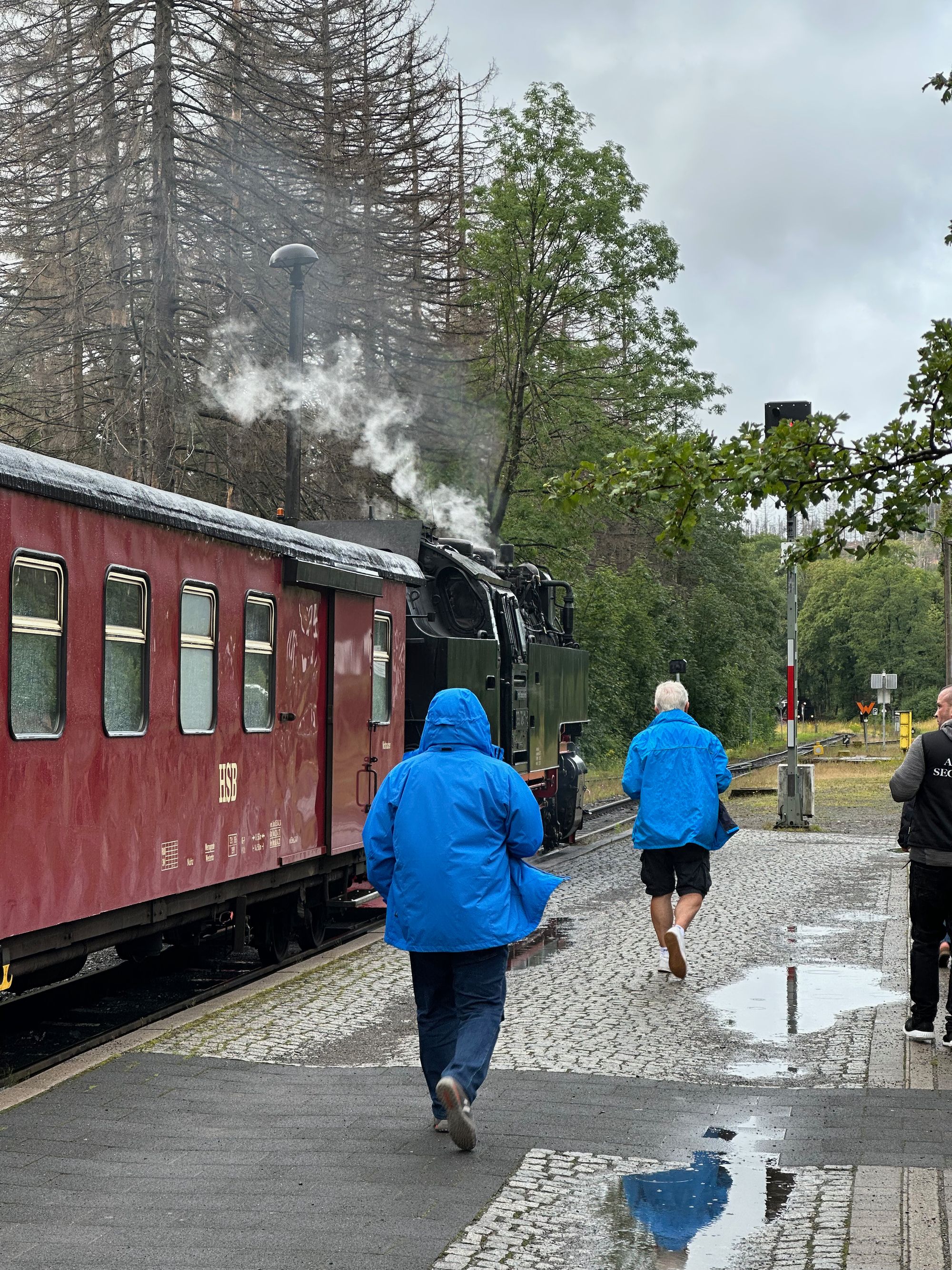 Steam Train Stopped