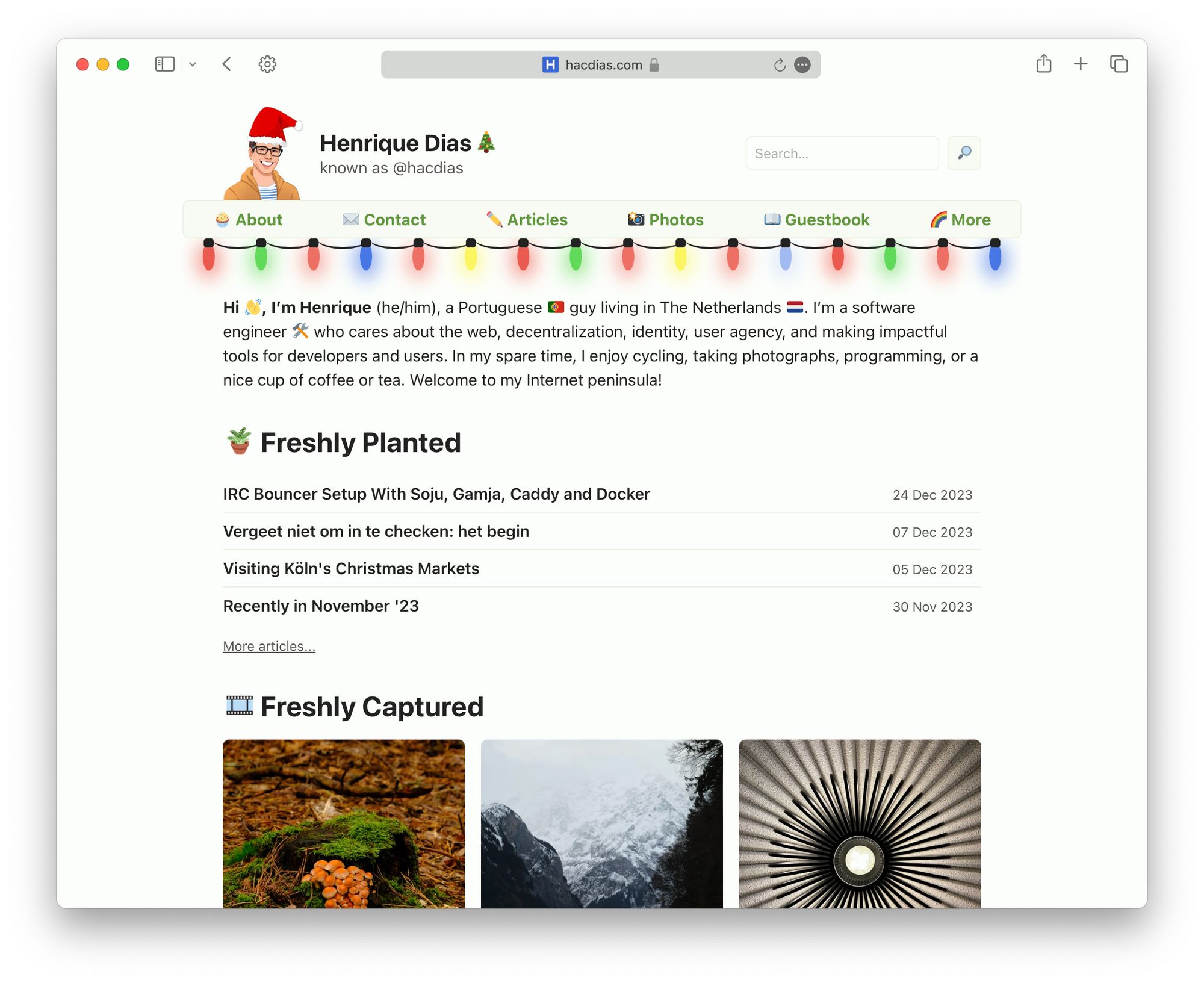 Website With Christmas Decorations