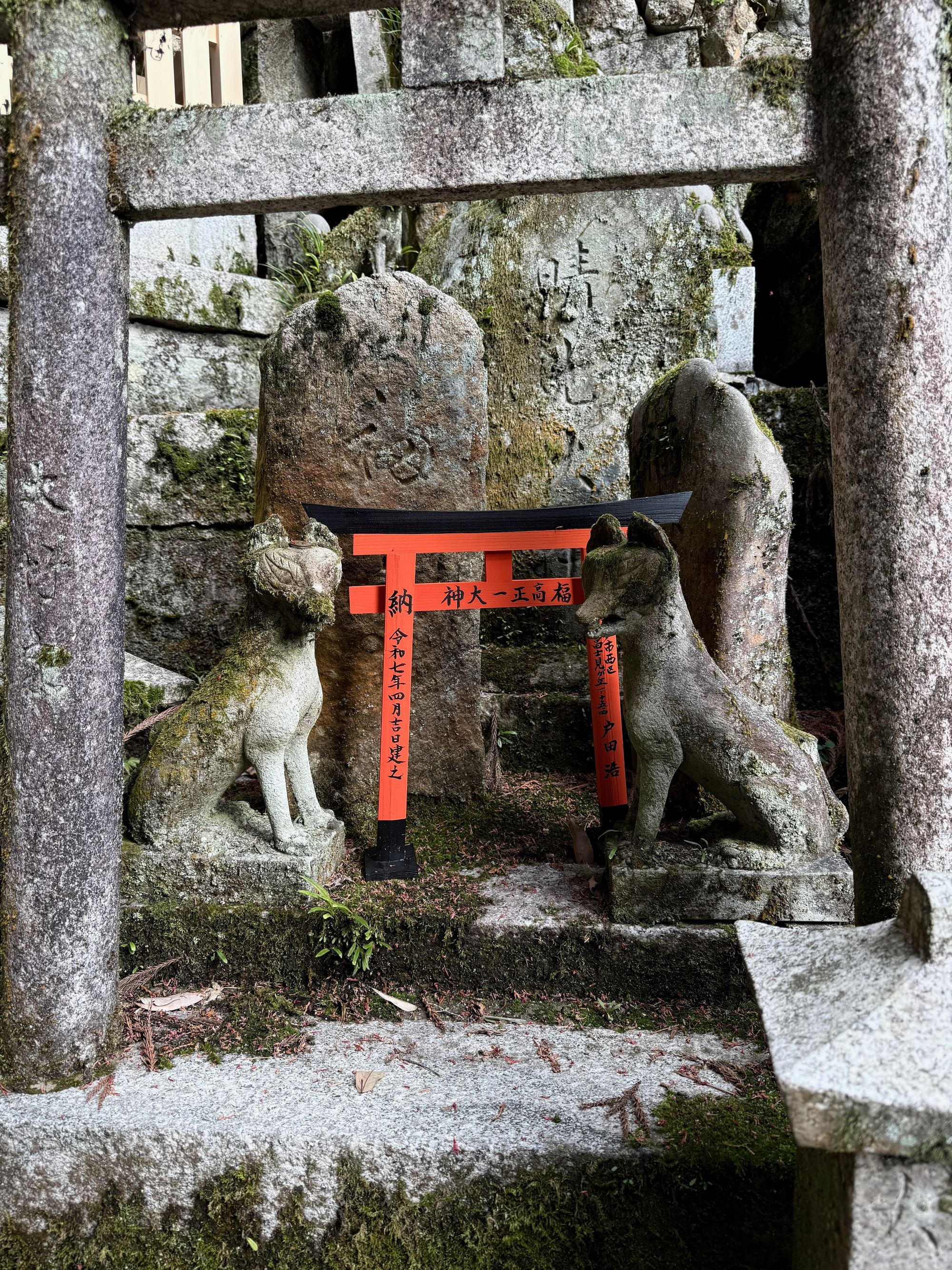 Torii