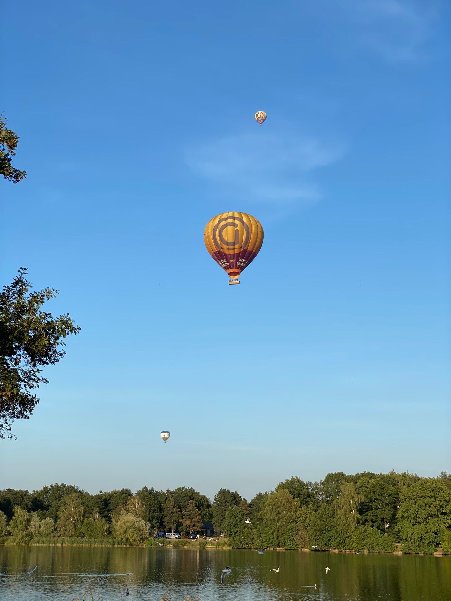 Hot Air Ballons