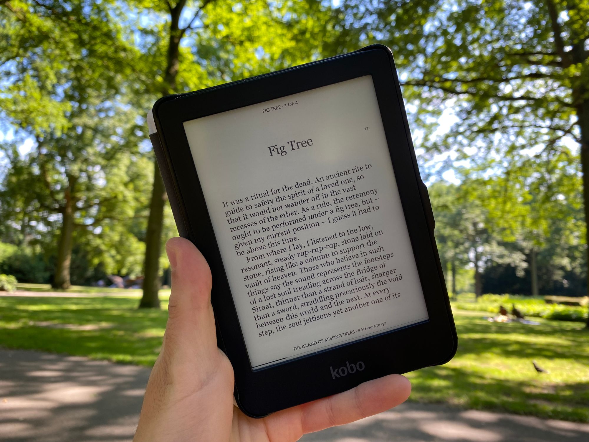 E-reader In The Park