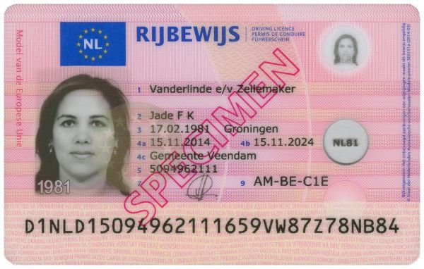 Dutch Driving License (<a href="https://rdw.nl/"  rel='noopener noreferrer'>RDW</a>)